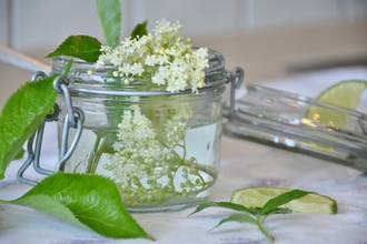 Elderflower cordial