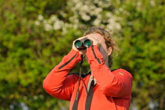 Bird watching