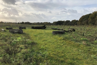 Eashing Meadows