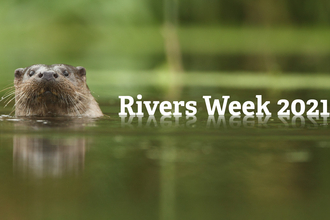Rivers Week 2021