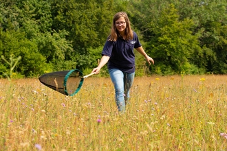 Surrey Wildlife Trust staff member sweep netting in meadow