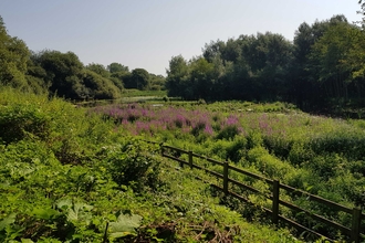 Unstead Nature Reserve