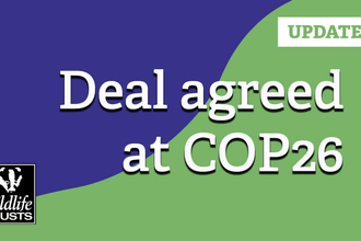 COP26 announcement