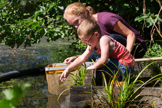Picture of a young boy pond dipping with his mother at Bay Pond 