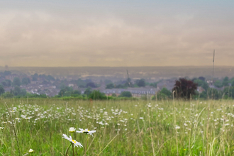 Pewley Meadows