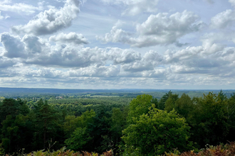 View from Crooksbury Hill