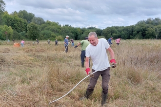 Volunteer scything