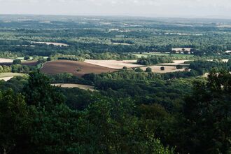 aerial view of Surrey landscape