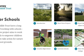 screenshot of storymap webapge, showing 6 schools from the wilder school project