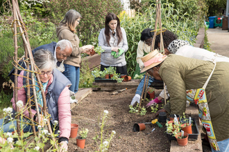Community tending a garden