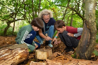 Two children and a volunteer crouching in woodland looking under a tree stump
