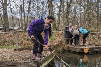 Pond dipping