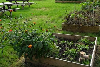 St Clare's Church community garden in Guildford, Surrey 