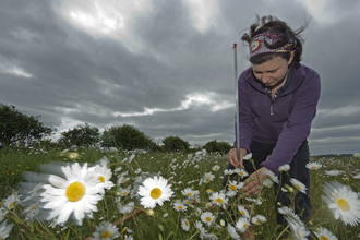 A person conducting a vegetation survey