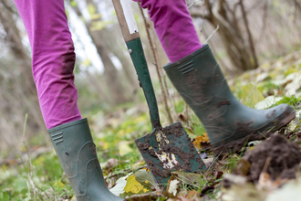 Person digging in a woodland