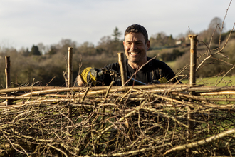 Hedgelaying