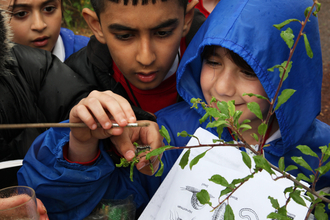 Children carefully removing a caterpillar from a leaf to look at in more detail