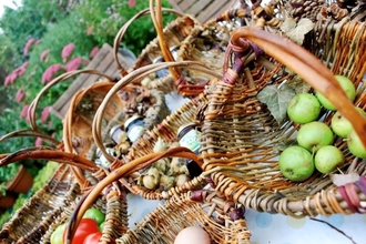 foraging basket