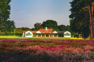 Woking Golf Club heather