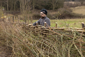 A young man laying a hedge in the South of England style