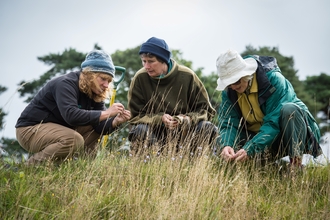 People surveying plants