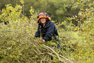 A woman hedgelaying 