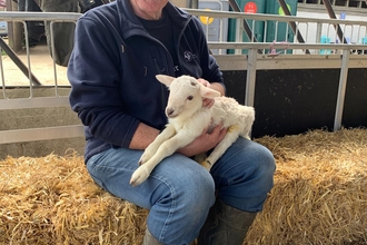 One of our volunteer ambassadors holding a lamb during our 'Meet the Newborns' event at Bonhurst Farm