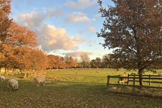 Merrist Wood