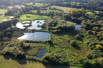 Unstead wetland nature reserve