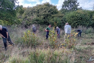 Norbury Park conservation volunteers at work removing scrub
