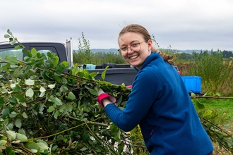 A volunteer placing cut willow in a pile.