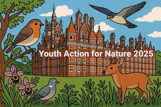 YAC 2025 Image, nature in a college grounds setting