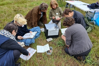 Group of volunteers identifying moths around a moth trap