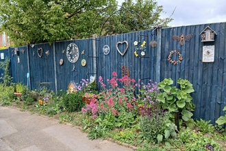 Wildlife friendly street