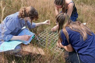 Work experience students surveying plants using a quadrat