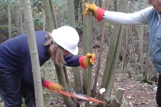practical skills