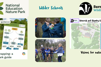 Children leaning outdoors.