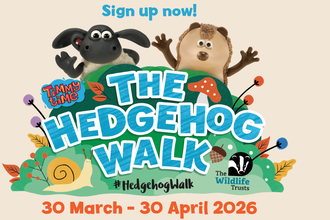 The Hedgehog Walk