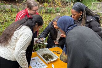 Students pond dipping