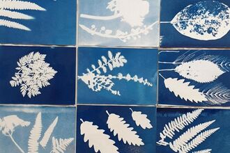 Cyanotype Printing