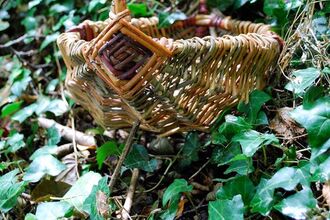 foraging basket