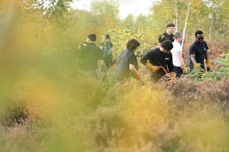 Corporate volunteers on a wild work day removing scrub from heathland