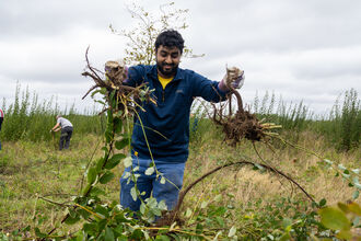 Volunteers at Horsley Meadows