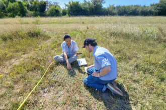 People carrying out a plant survey with a quadrat