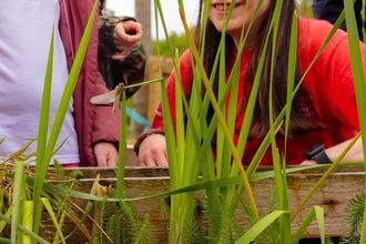 A child pond dipping