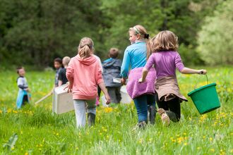 Students carrying out an invertebrate sample