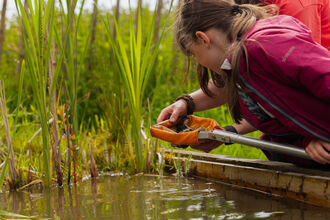An adult and a child looking in a pond net over a pond 