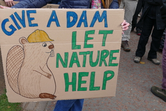 Beaver protest placard reads give a dam - let nature help