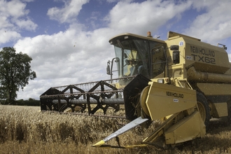 Oat Harvest