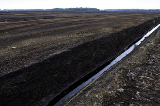 Peat extraction